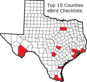 Where Texas Birders Actually Bird: The Data