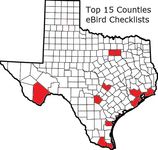 Where Texas Birders Actually Bird: The Data