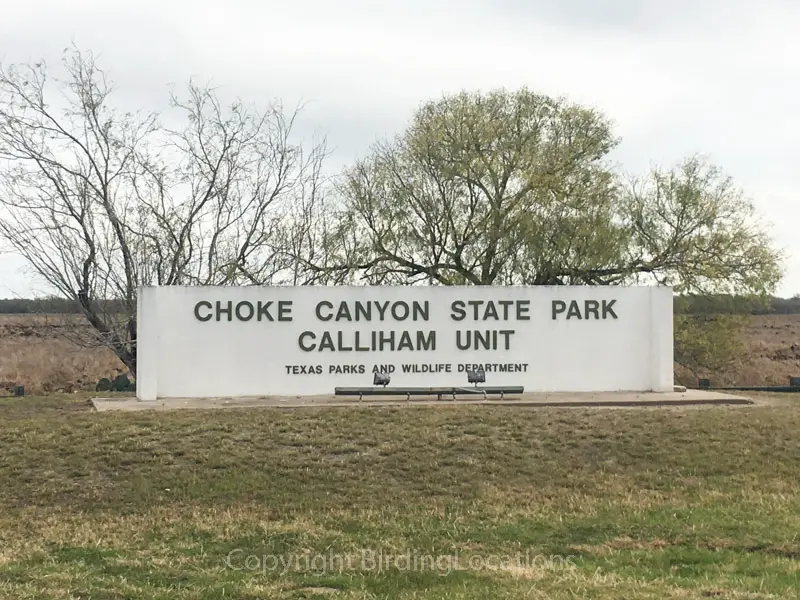 Choke Canyon State Park Birding Locations