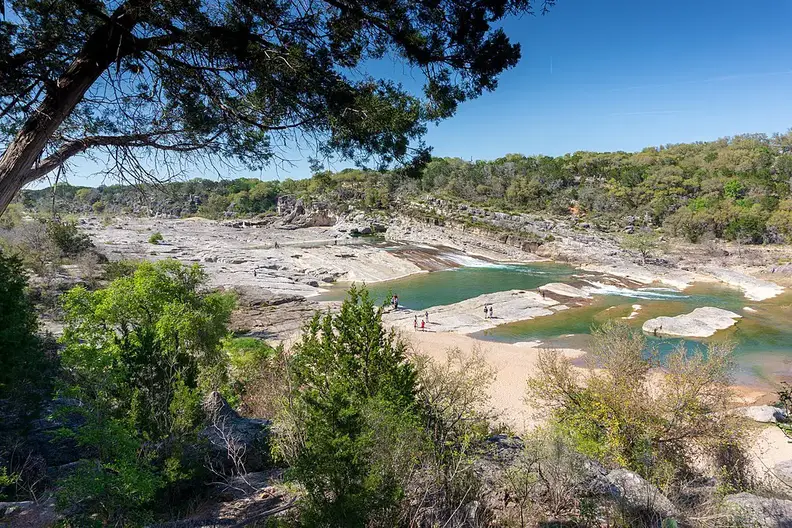 The Best Texas State Parks For Birding Birdinglocations