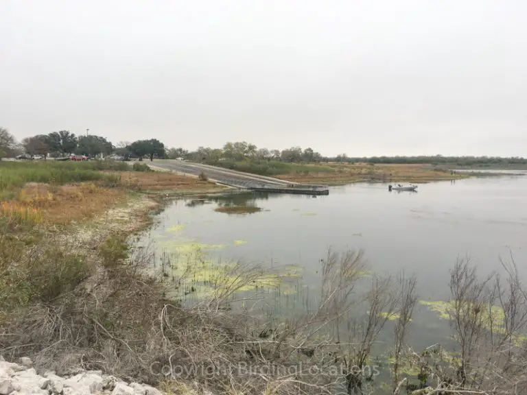Choke Canyon State Park Birding Locations