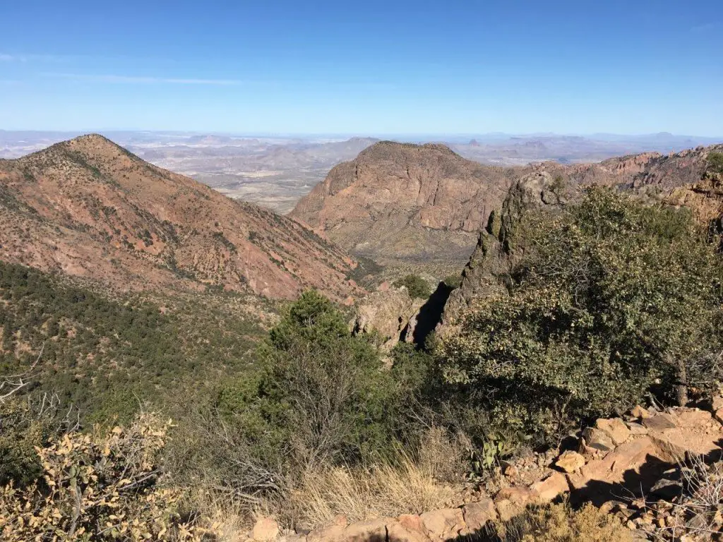 Chisos Mountains | Birding Locations