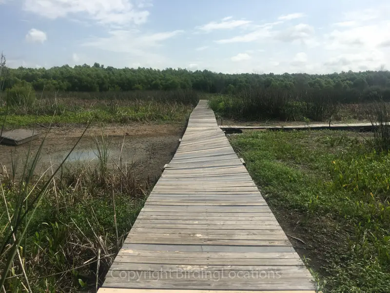 Lake Waco Wetlands | Birding Locations