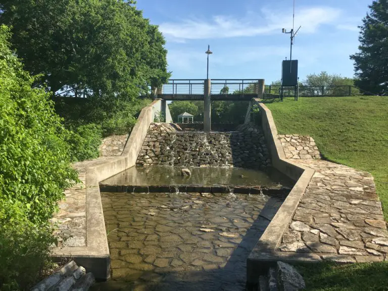 Mills Pond Birding Locations