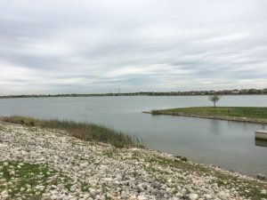 pflugerville vegetation snipes