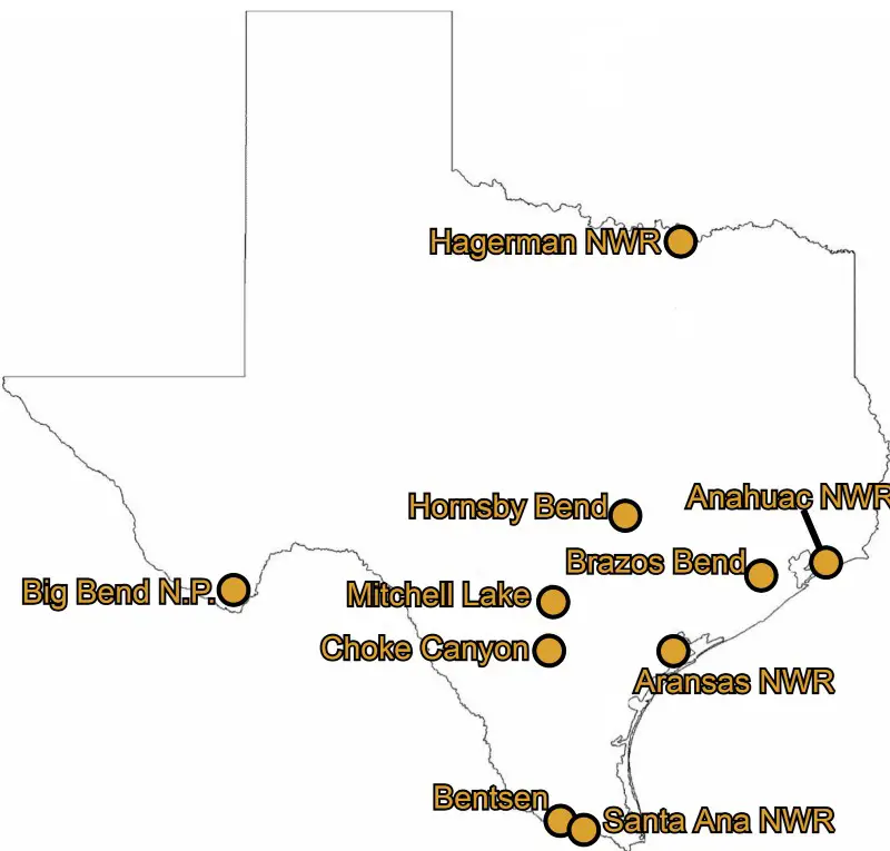 Top Birding Hotspots in Texas