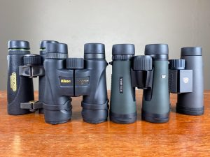 Read more about the article Best Birding Binoculars under $300: Tested & Reviewed (2021)