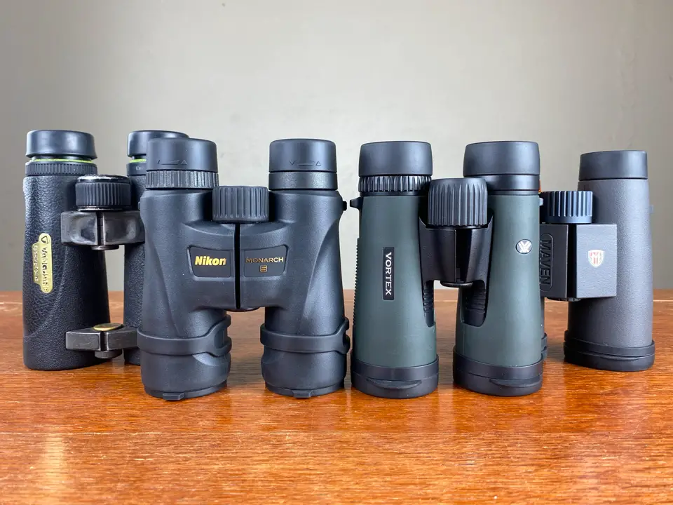 Best Birding Binoculars under $300: Tested & Reviewed (2021)