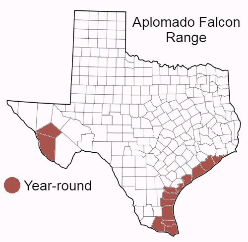 Aplomado Falcon Range Map in Texas