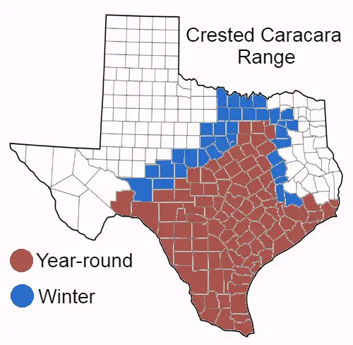 Crested Caracara Range Map in Texas